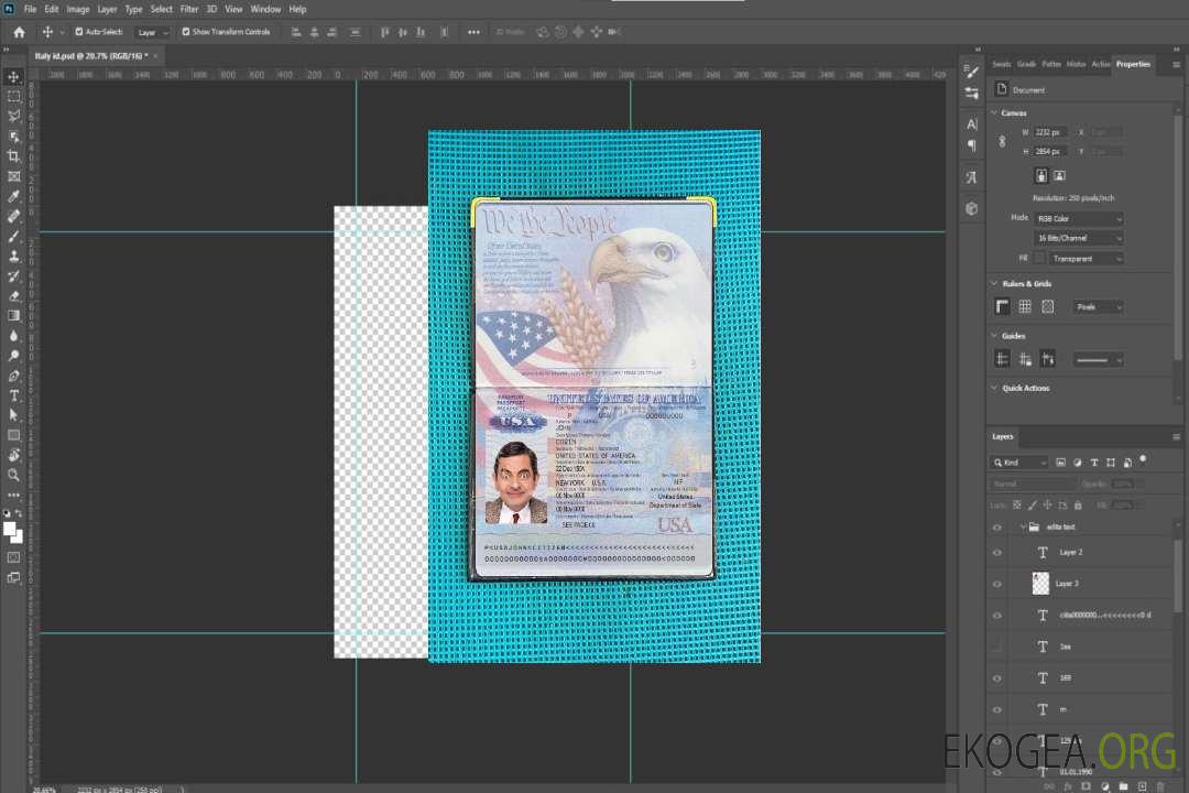 Aperçu photo du passeport américain 2007-2022 template